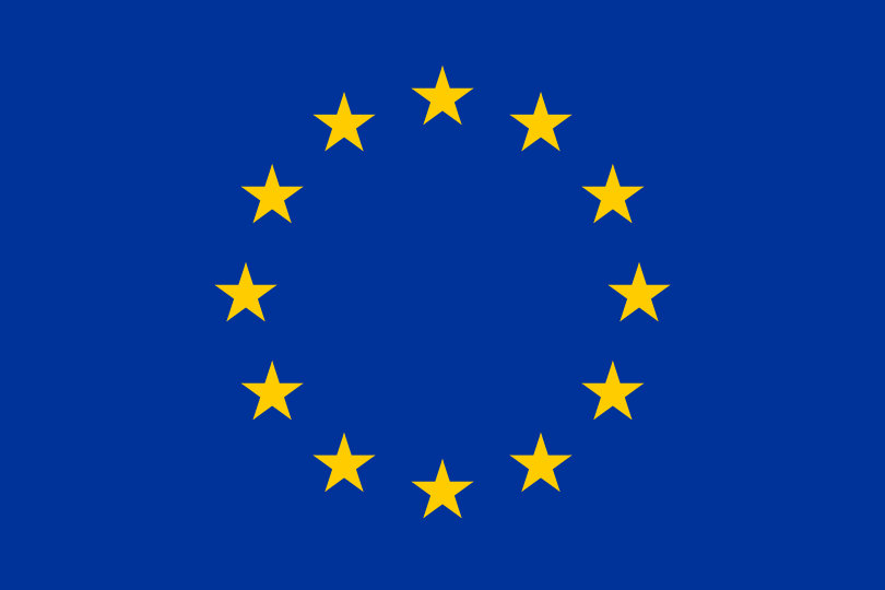EAA Wahlprüfsteine Europawahl 2024